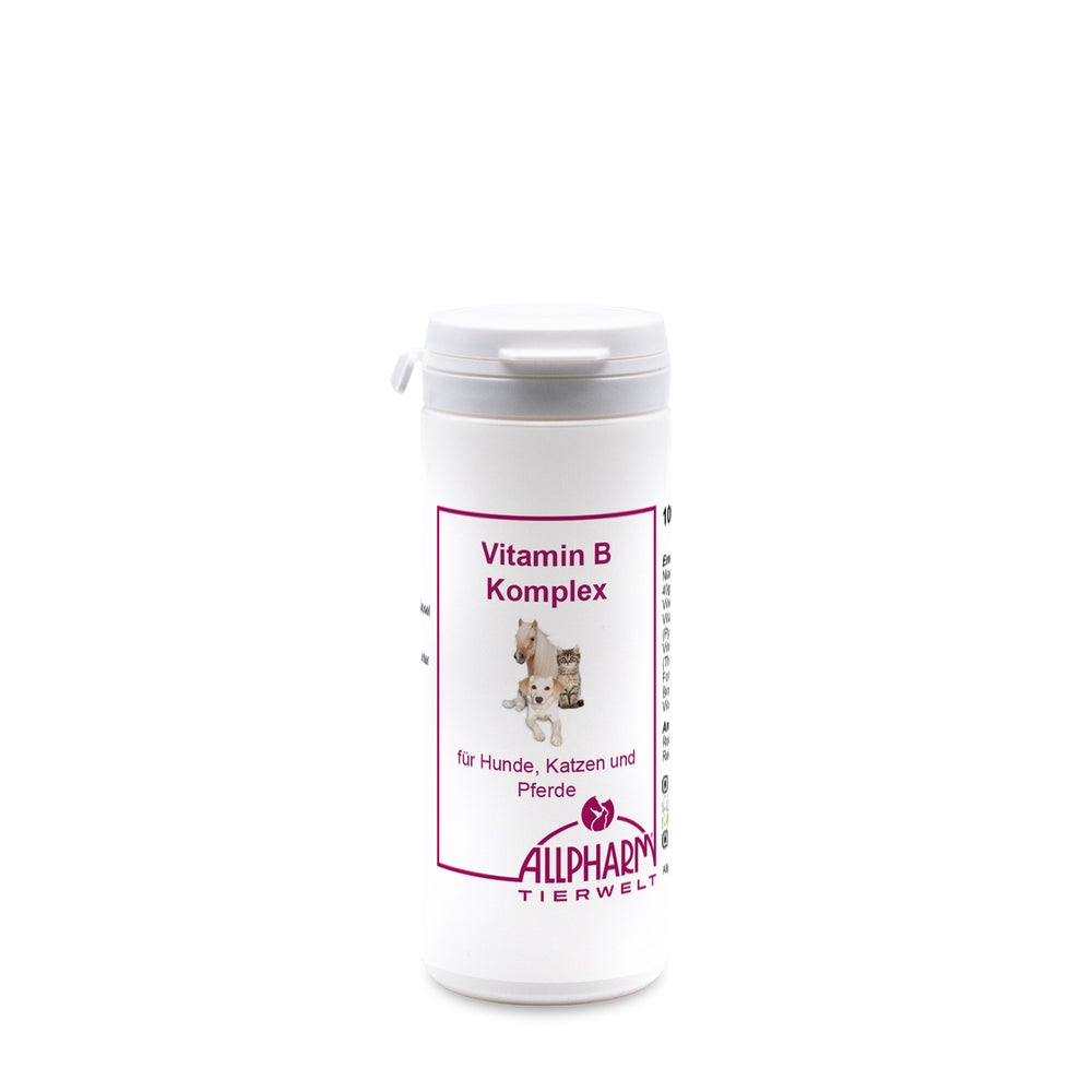 Vitamin B Komplex Kapseln f.Hunde 100 St