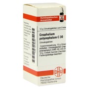 Produktabbildung: Gnaphalium Polycephalum C 30 Globuli 10 g