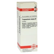 Tropaeolum Majus Urtinktur 20 ml
