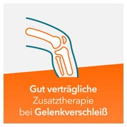Teufelskralle ratiopharm 200 St