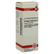 Solidago Virgaurea D 1 Dilution 20 ml