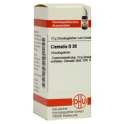 Produktabbildung: Clematis D 30 Globuli 10 g