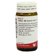 Produktabbildung: Sulfur D 6 Globuli 20 g