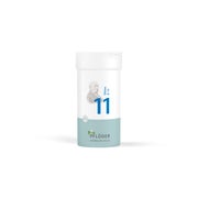 Biochemie Pflüger Schüßler-Salz Nr. 11 Silicea D12 100 g