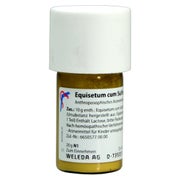 Produktabbildung: Equisetum CUM Sulfure tostum D 6 Tritura 20 g