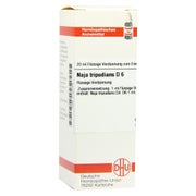 NAJA Tripudians D 6 Dilution 20 ml