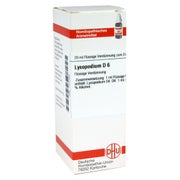 Produktabbildung: Lycopodium D 6 Dilution 20 ml
