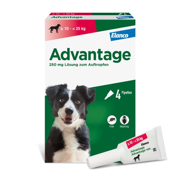 Advantage™ 250 mg Hund 4 St