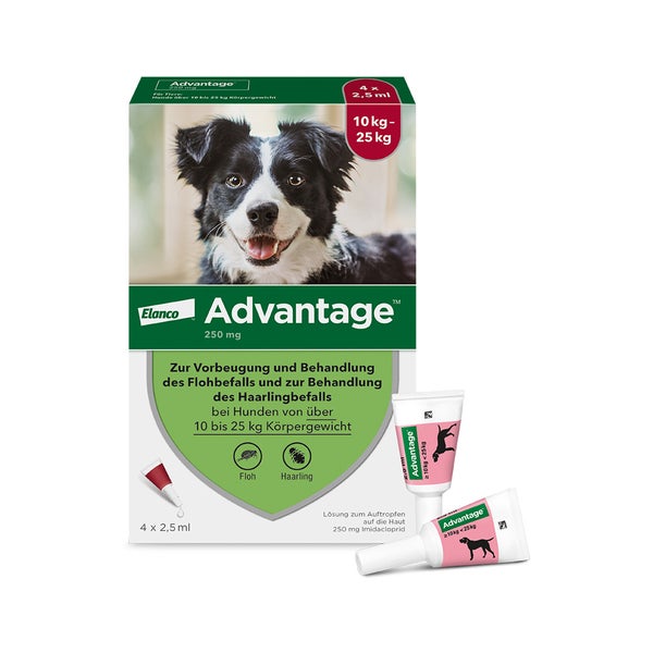 Advantage Spot-On 250 gegen Flöhemittelgroße Hunde 4 St