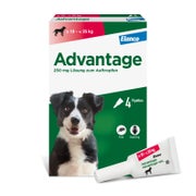 Produktabbildung: Advantage™ 250 mg Hund 4 St
