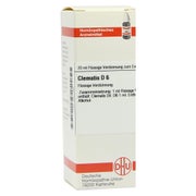 Clematis D 6 Dilution 20 ml