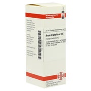 ARUM Triphyllum D 6 Dilution 20 ml