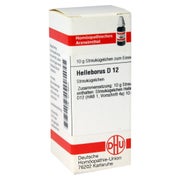 Produktabbildung: Helleborus D 12 Globuli 10 g