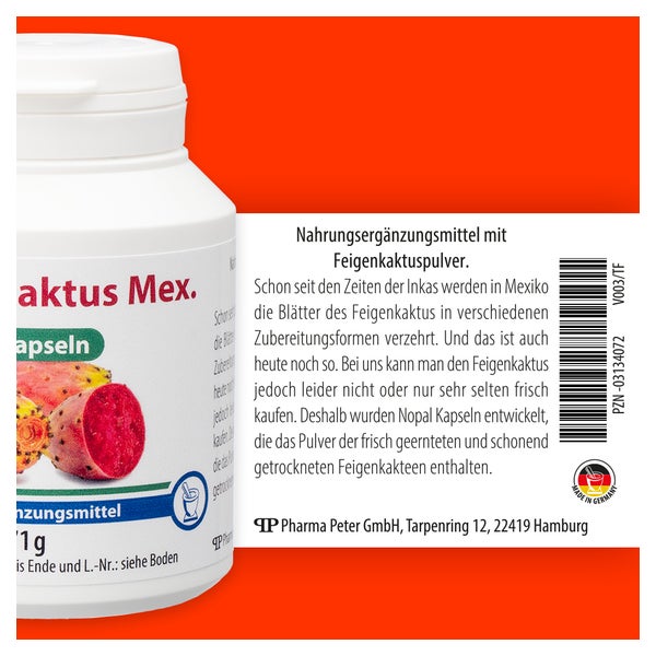 gummibaum tineke Ficus Tineke kaufen – Gummibaum mit Farbspiel auf Stamm – Wurzelwerk Design main image 1