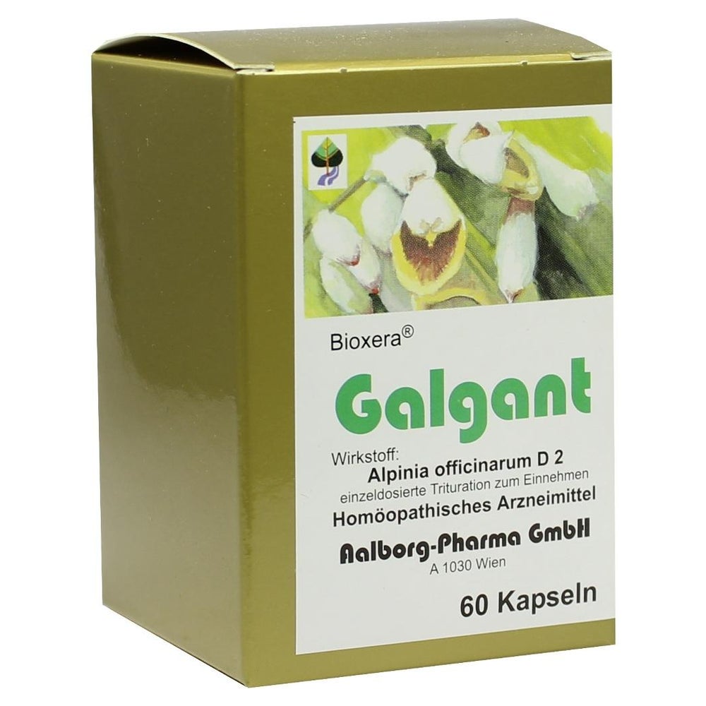 Galgant Kapseln 60 St