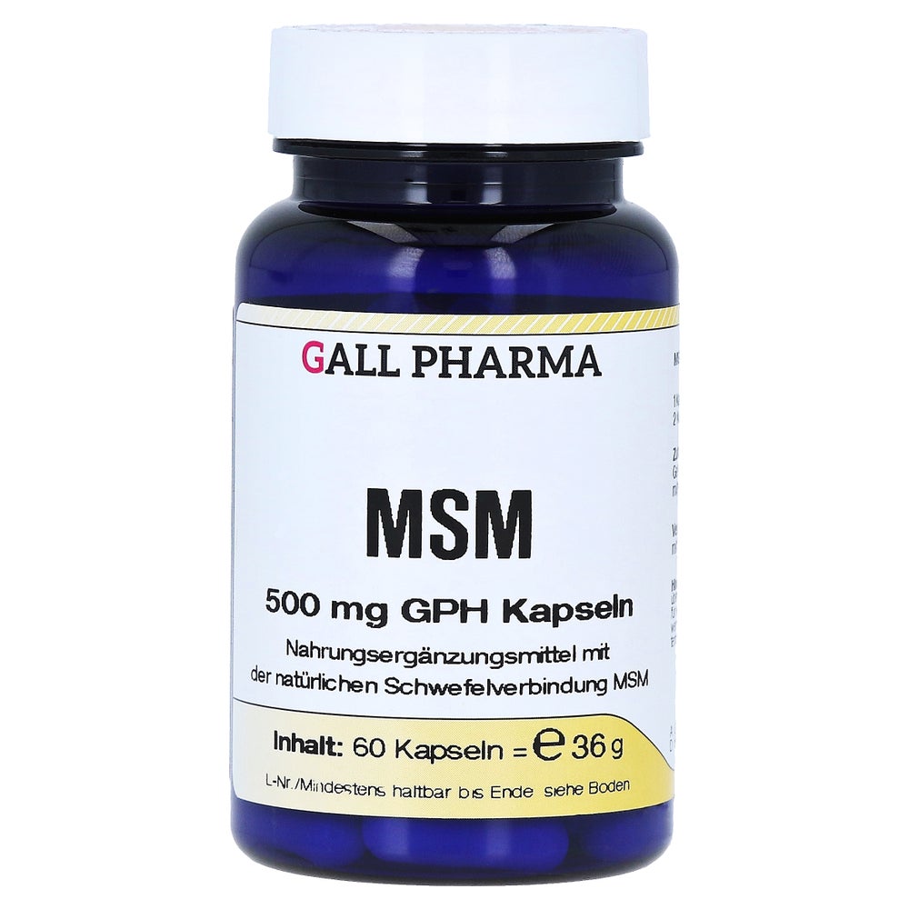 MSM 500 mg GPH Kapseln 60 St
