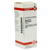 Rosmarinus Officinalis Urtinktur D 1 20 ml