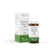 Pflügerplex Sulfur Jod.309 Tabletten 100 St