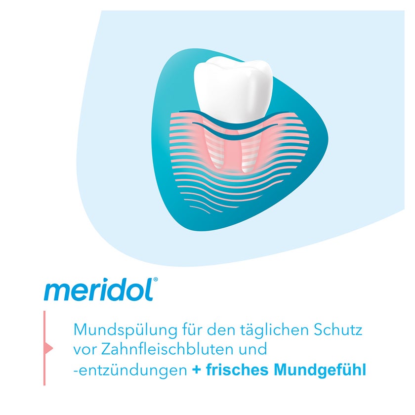 meridol Mundspülung Zahnfleischschutz antibakteriell 400 ml