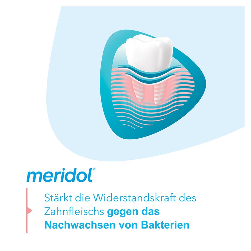 meridol Mundspülung Zahnfleischschutz antibakteriell 400 ml