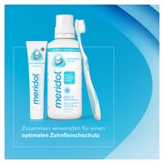 meridol Mundspülung Zahnfleischschutz antibakteriell 400 ml