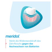 meridol Mundspülung Zahnfleischschutz antibakteriell 400 ml