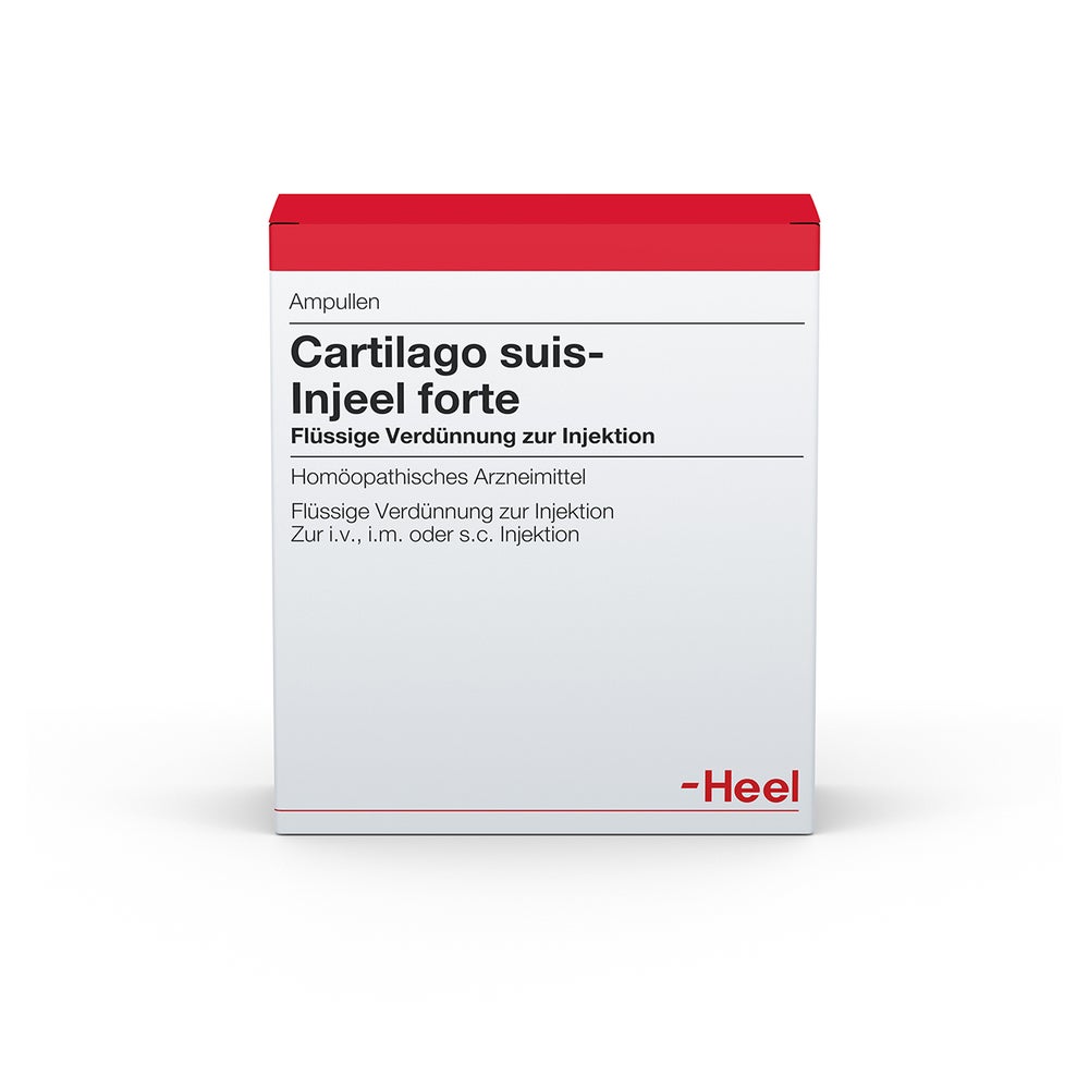 Cartilago suis Injeel forte Ampullen 10 St