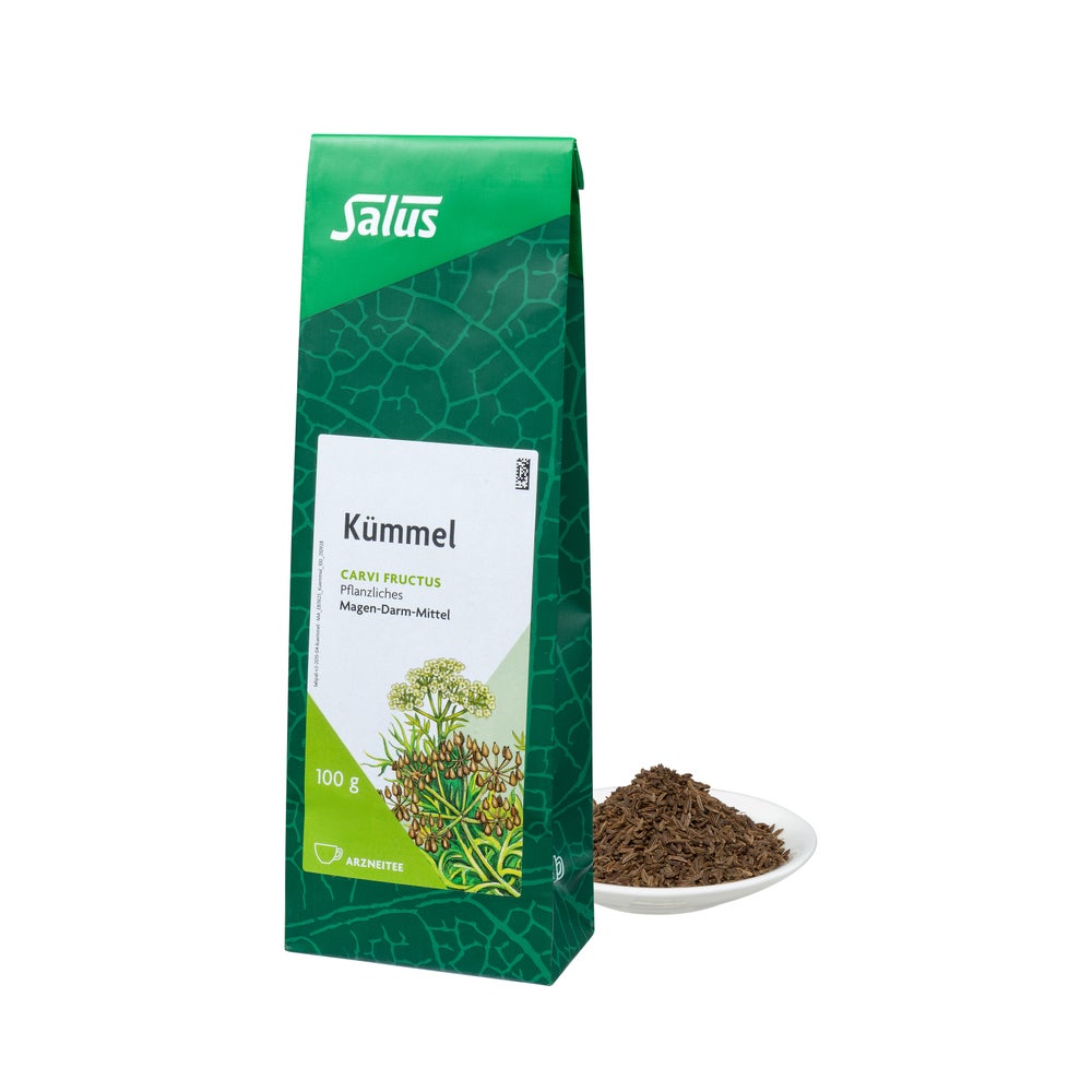 Kümmel Arzneitee Carvi fructus Bio Salus 100 g