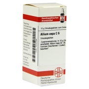Allium CEPA C 6 Globuli 10 g