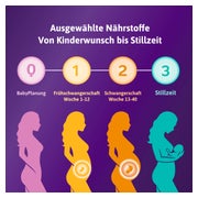 Femibion 1 Frühschwangerschaft 56 St