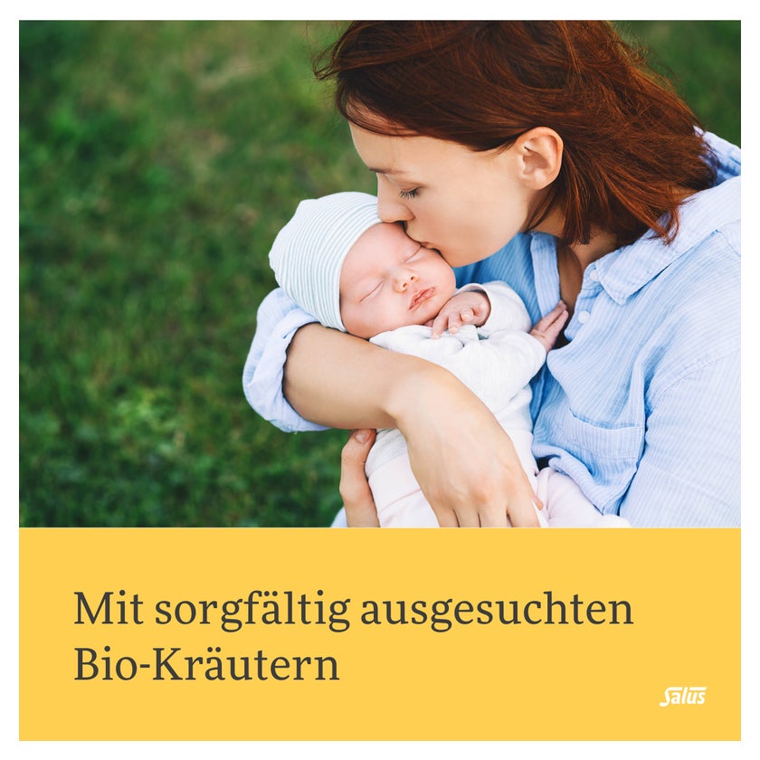 Stilltee Bio Salus Filterbeutel 15 St