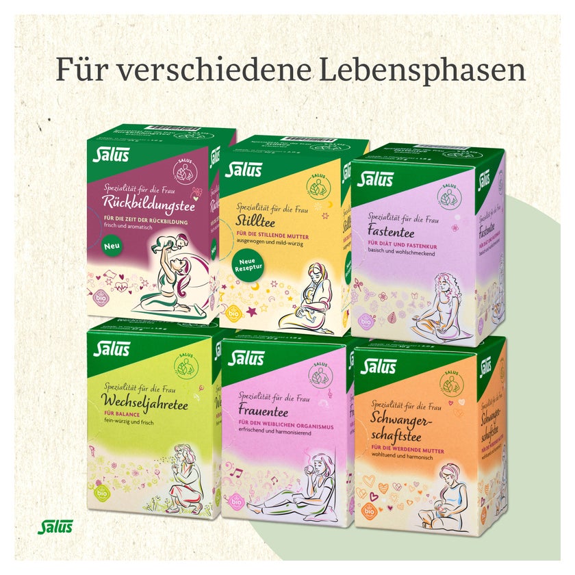 Stilltee Bio Salus Filterbeutel 15 St