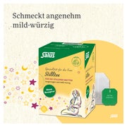 Stilltee Bio Salus Filterbeutel 15 St