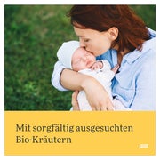 Stilltee Bio Salus Filterbeutel 15 St