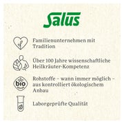 Stilltee Bio Salus Filterbeutel 15 St