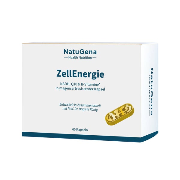 ZellEnergie 60 St