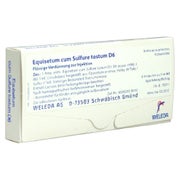 Equisetum CUM Sulfure tostum D 6 Ampulle 8X1 ml