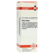 RUTA Extern Extrakt 20 ml
