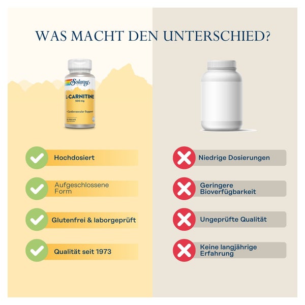 wofr ist l carnitin L-Carnitin 500 mg Wann sollte man L-Carnitin einnehmen?