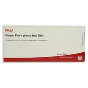 Produktabbildung: Viscum PINI e planta tota D 60 Ampullen 10X1 ml