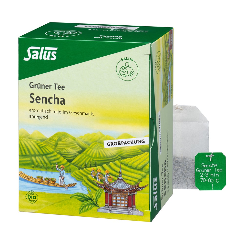 Grüner TEE Bio Salus Filterbeutel Großpa 40 St