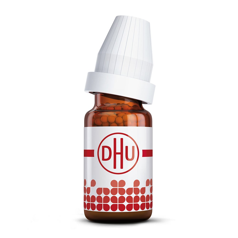 Quebracho D 12 Globuli 10 g