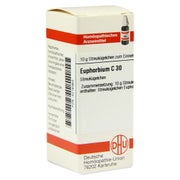 Euphorbium C 30 Globuli 10 g