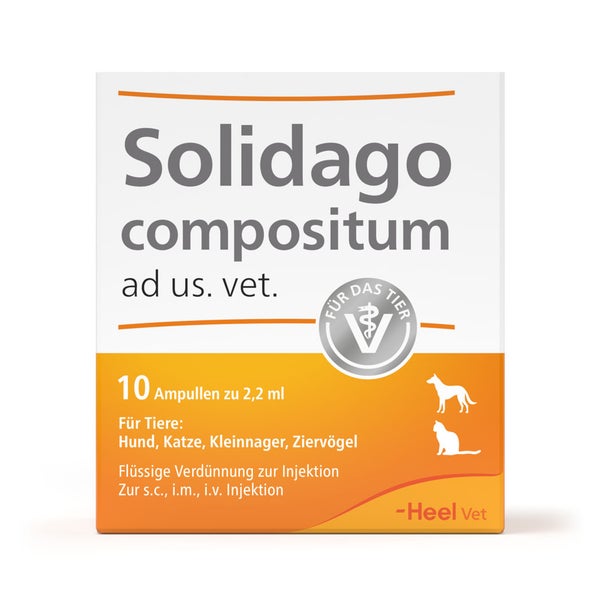 Solidago Compositum ad us.vet.Ampullen 10 St