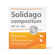 Solidago Compositum ad us.vet.Ampullen 10 St
