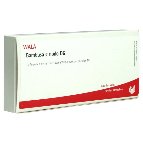 Bambusa E NODO D 6 Ampullen 10X1 ml