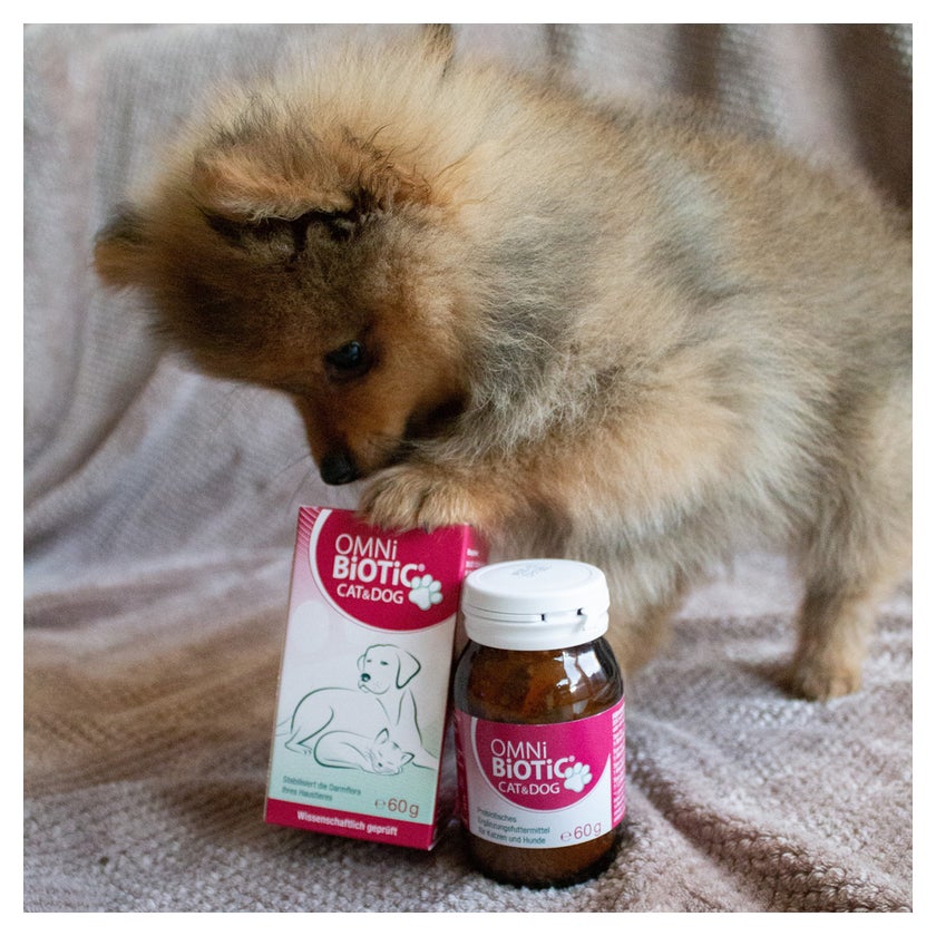 OMNi-BiOTiC CAT & DOG 60 g