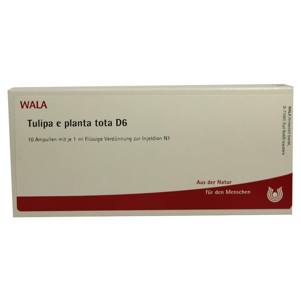 Tulipa e Planta tota D 6 Ampullen 10X1 ml