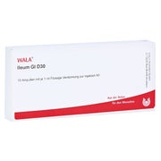 Produktabbildung: Ileum GL D 30 Ampullen 10X1 ml