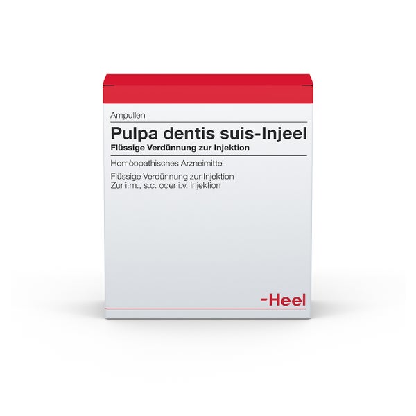 Pulpa Dentis SUIS Injeel Ampullen 10 St